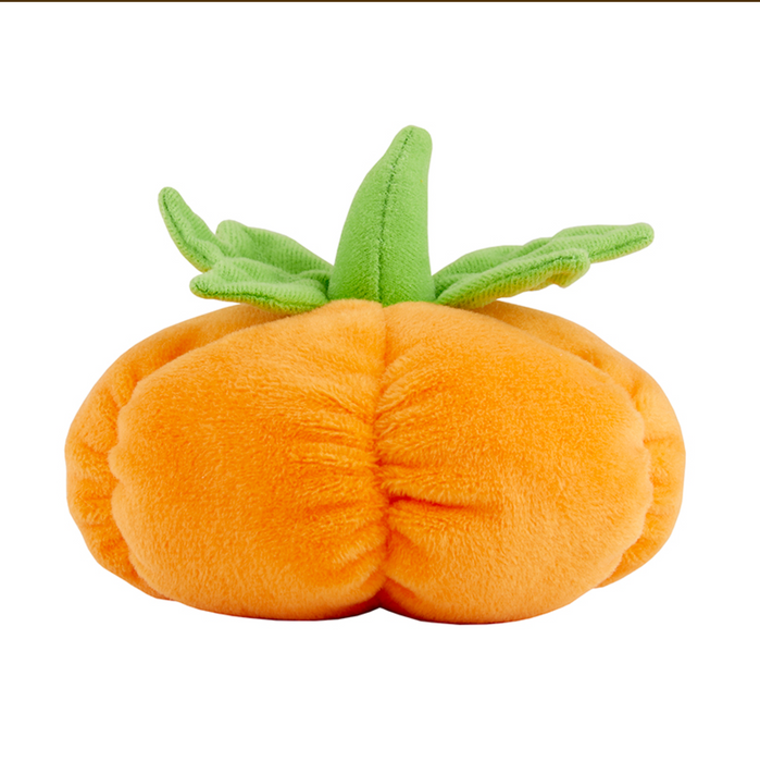Vegetable Rattle - Pumpkin